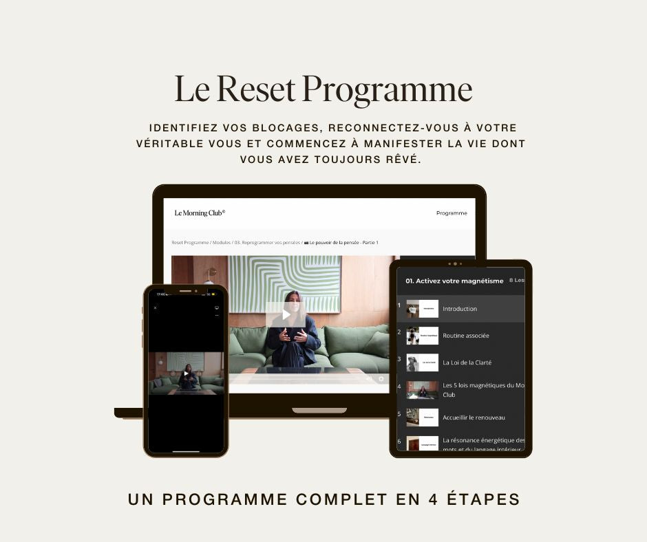 Reset Programme